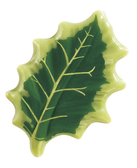 Blister - folha azevinho verde